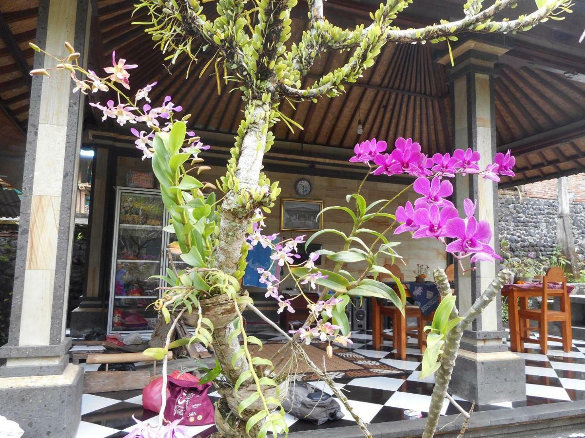 Milla Homestay Sidemen  Exterior photo