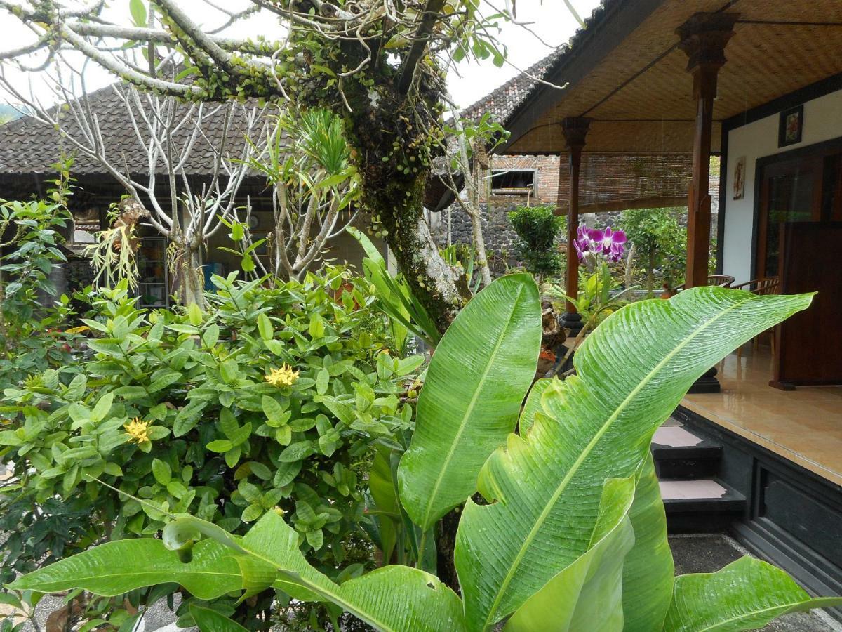 Milla Homestay Sidemen  Exterior photo